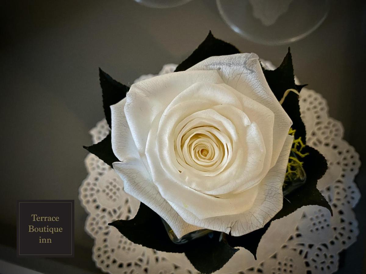 Terrace Boutique Inn Róma Kültér fotó